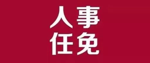 临清市审计局人事任命启动新篇章，推动审计事业持续发展