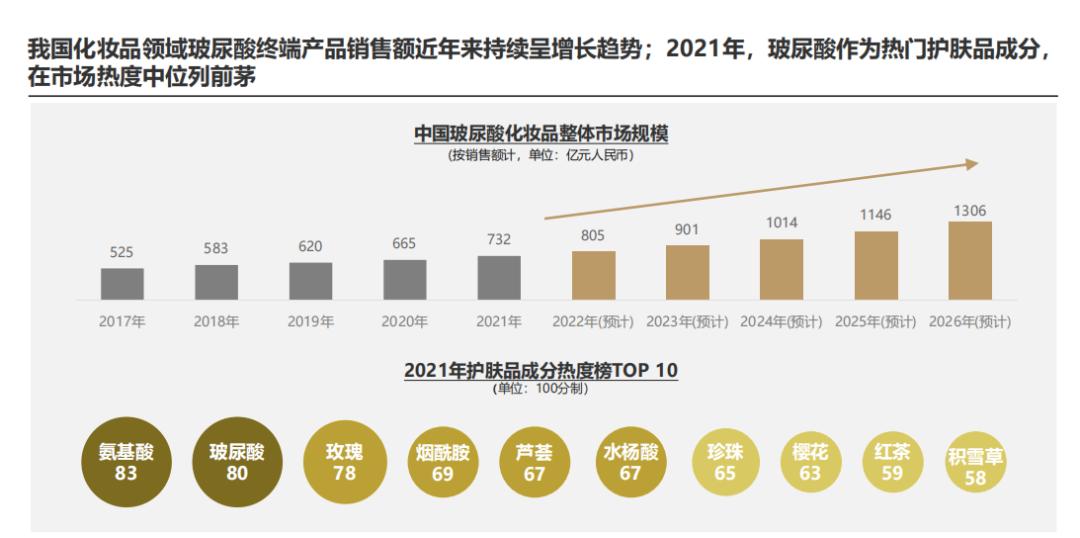 2024澳门天天开好彩资料_,深度解答解释定义_WP版53.732