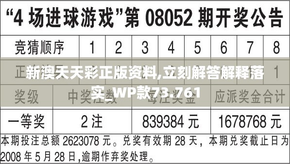 二四六天天彩944CC正版,深度研究解析说明_U51.655