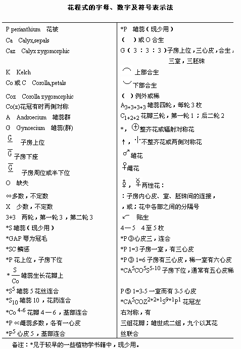 新奥门开将记录新纪录,最佳精选解释定义_入门版61.68