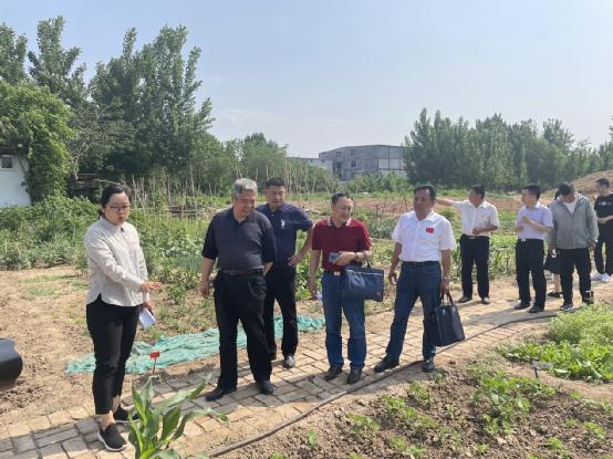 荷花路街道最新项目，重塑城市未来面貌的宏伟蓝图