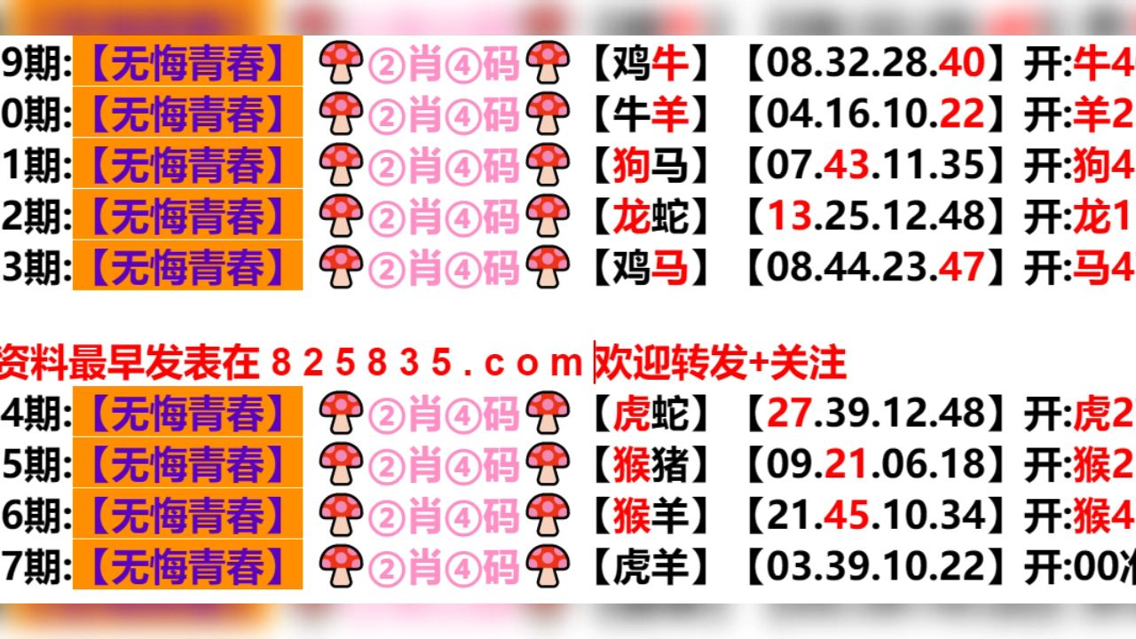 2024新澳门天天开好彩大全孔的五伏,综合解答解释定义_OP85.808