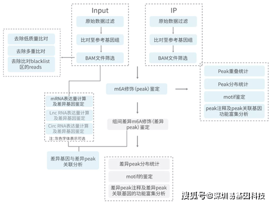 四期免费资料四期准,实地评估数据方案_WP16.818