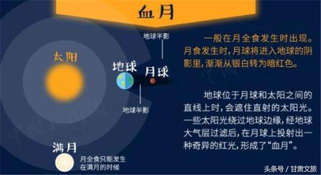 2024澳门特马今晚开什么,科学化方案实施探讨_3DM36.30.79