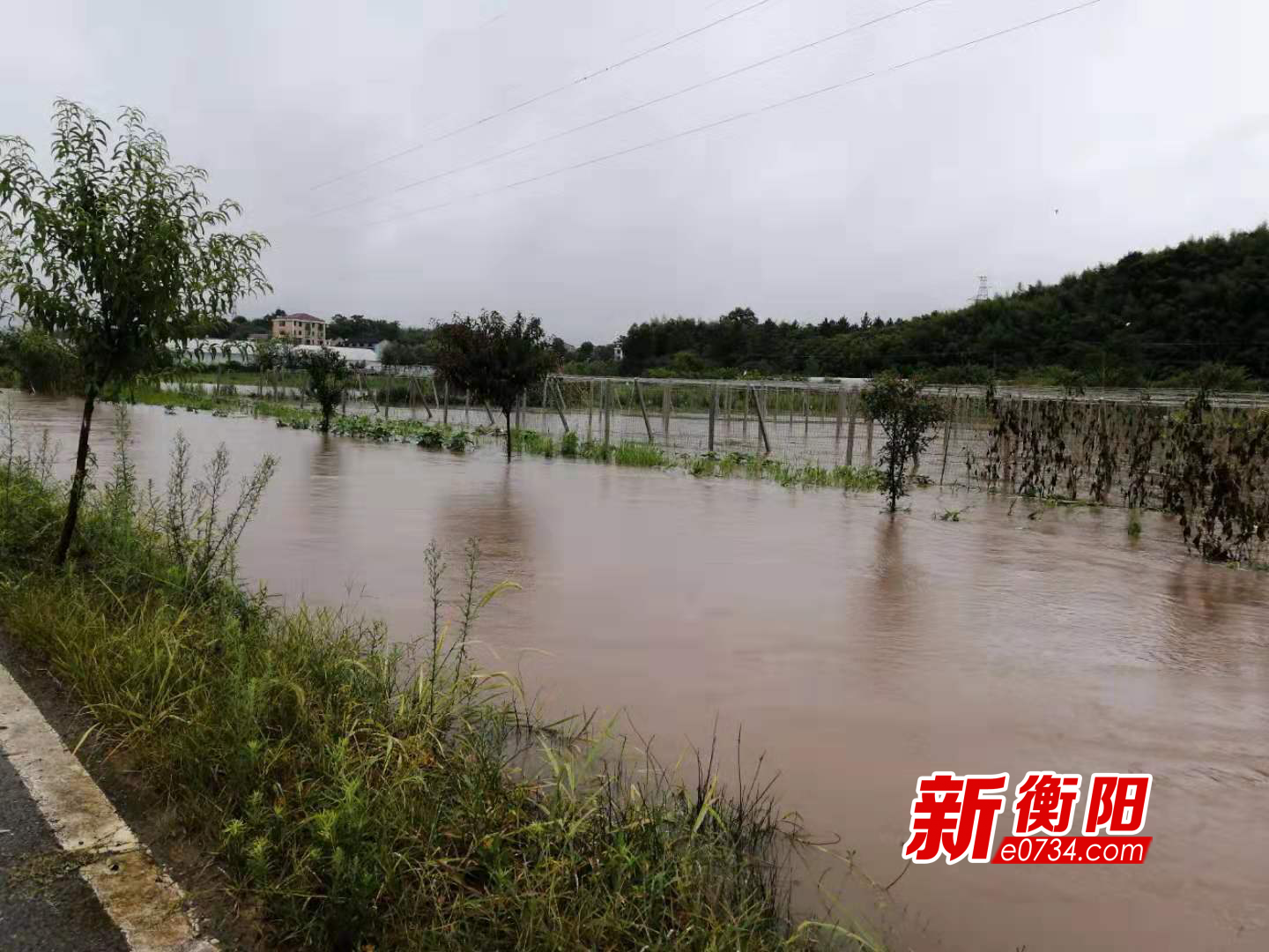 雨母山乡新闻速递，最新报道汇总