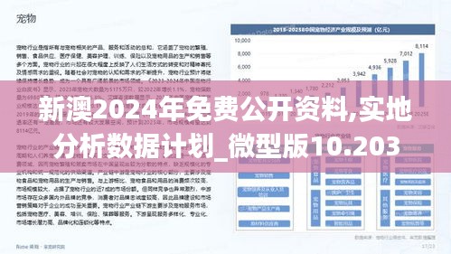 新澳2024年精准正版资料,实地数据验证策略_WP81.56