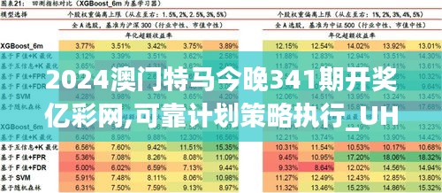 澳门特马,持久性计划实施_经典版65.327