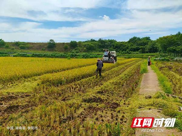 沙湾社区村天气预报更新通知