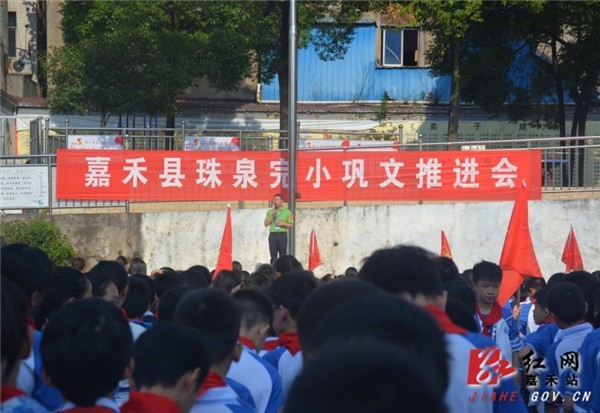 花泉村委会最新动态报道