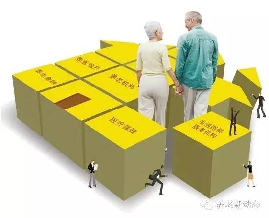 龙泉市防疫检疫站最新发展规划概览