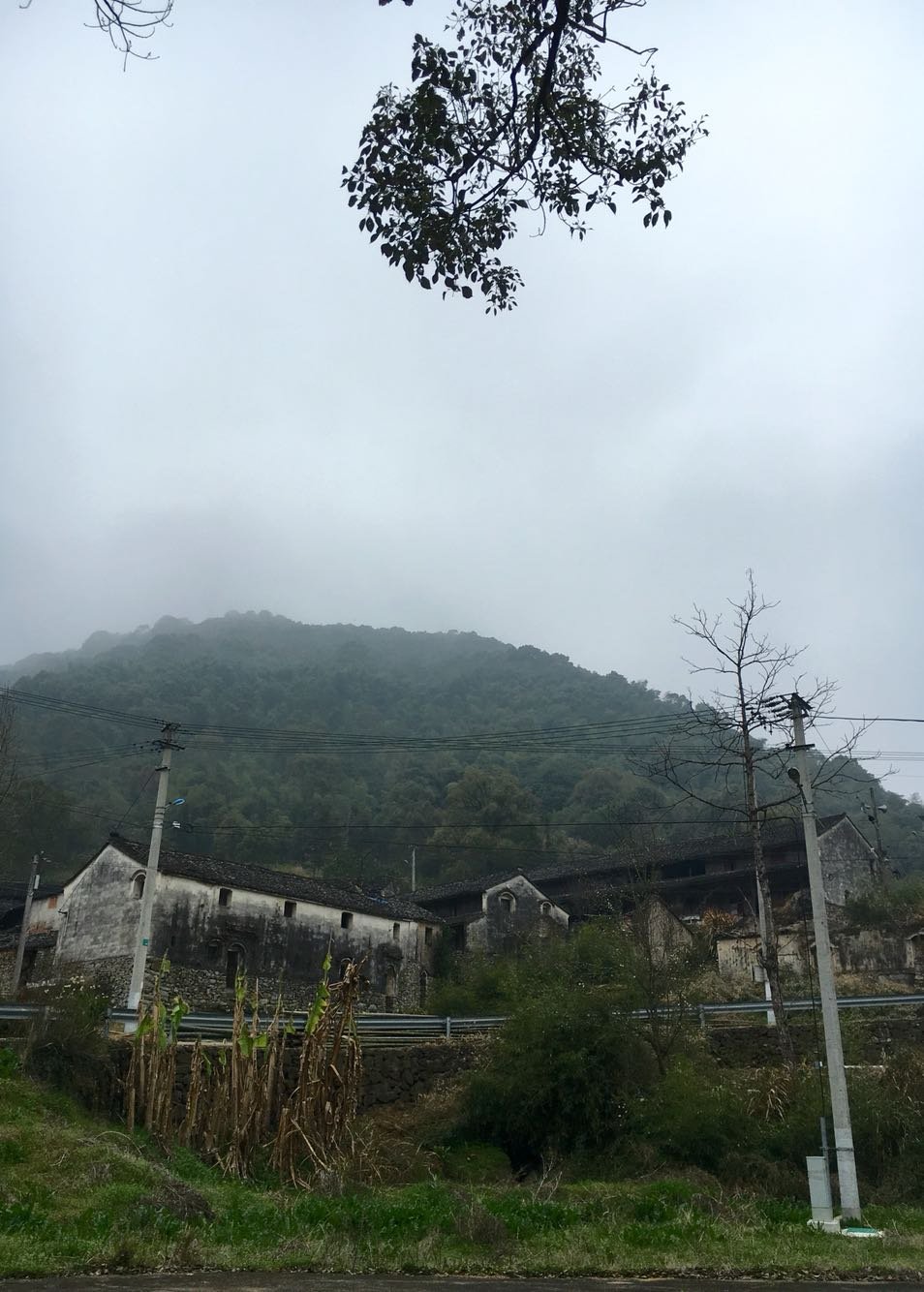 穆阳镇天气预报更新通知