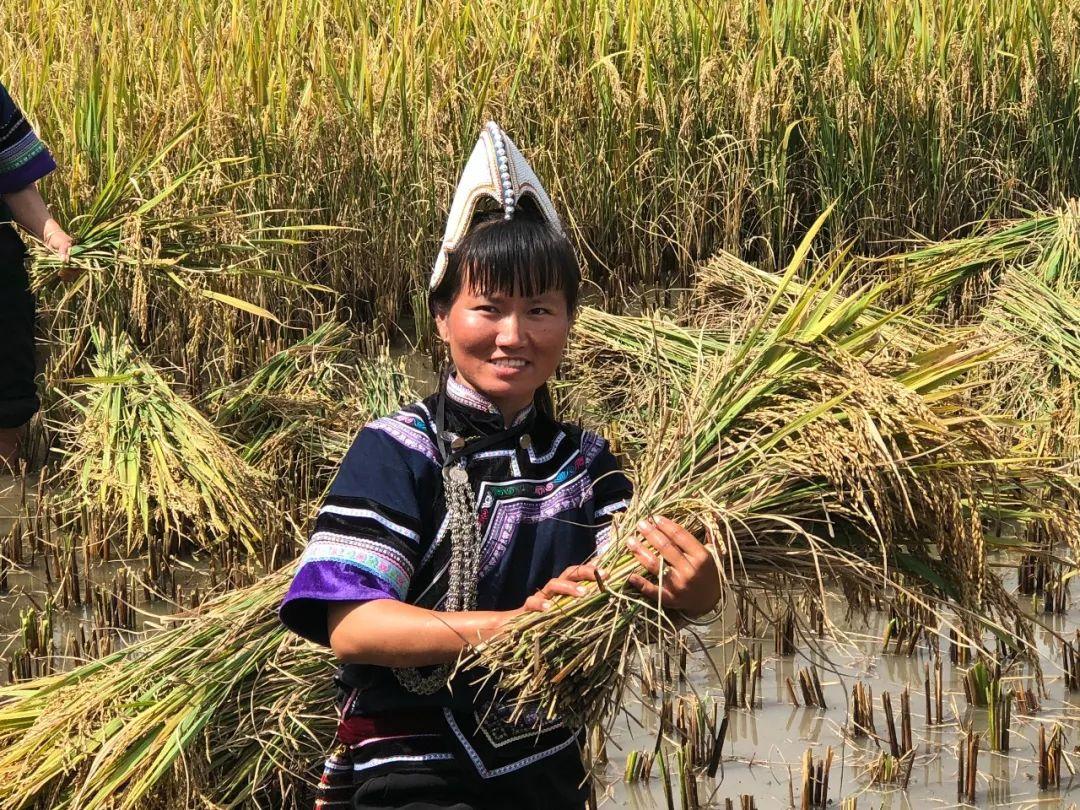 龙玛村未来蓝图发展规划揭秘，塑造乡村新面貌