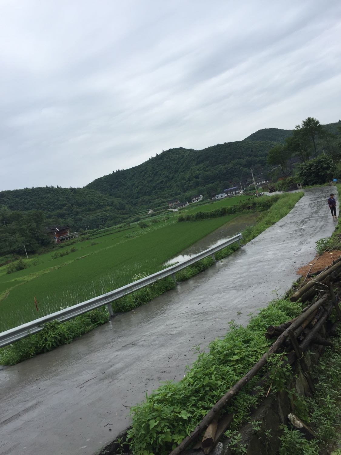 那拔镇天气预报更新通知