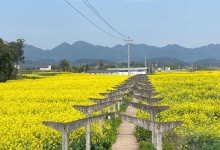 沙堰镇天气预报更新通知