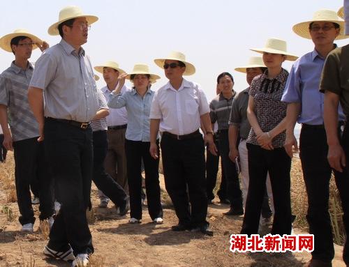 湖北省浠水县领导团队新貌，地方发展的核心力量引领者